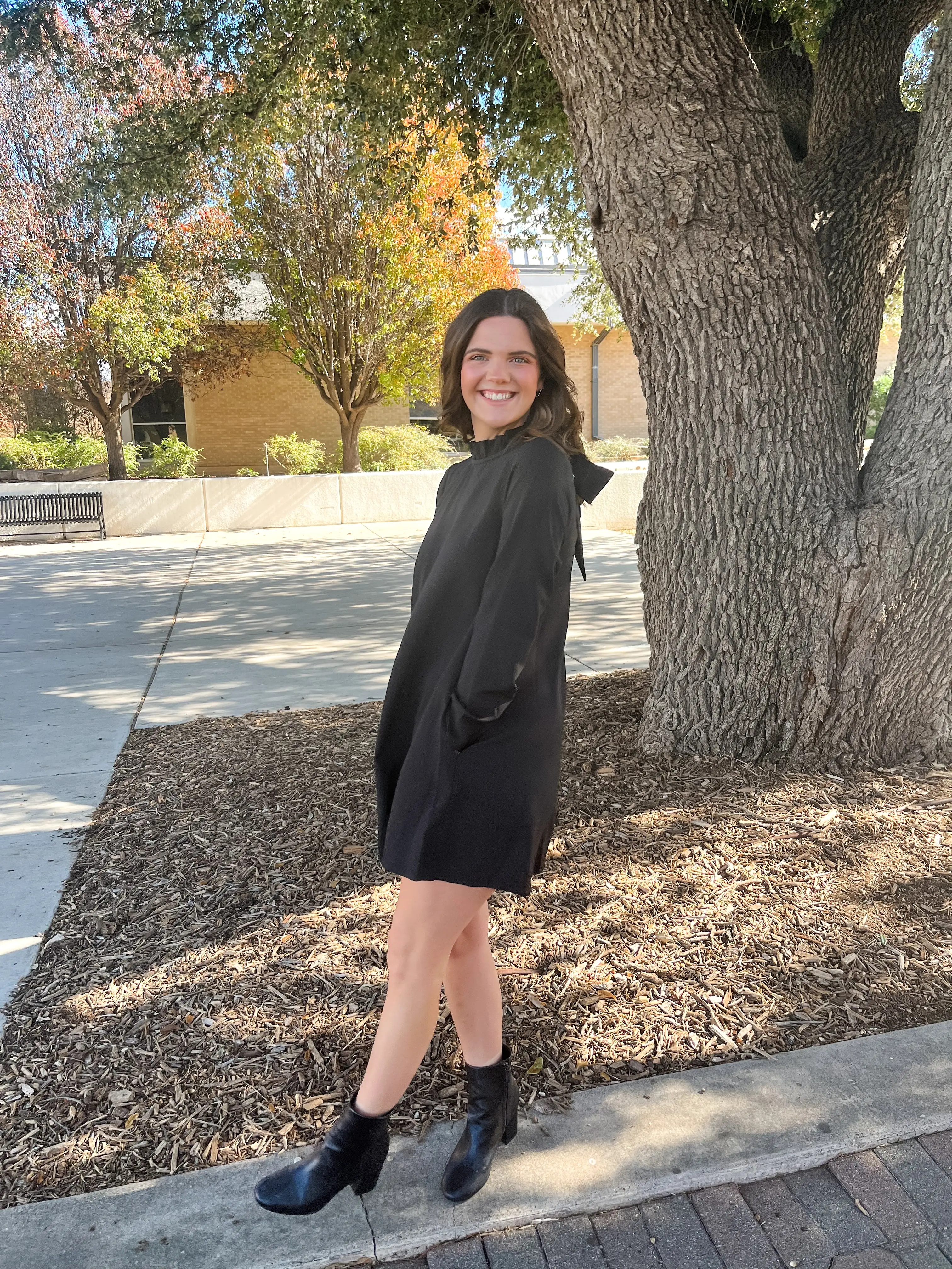 Blaine Ruffle Long Sleeve Mini Dress- Black