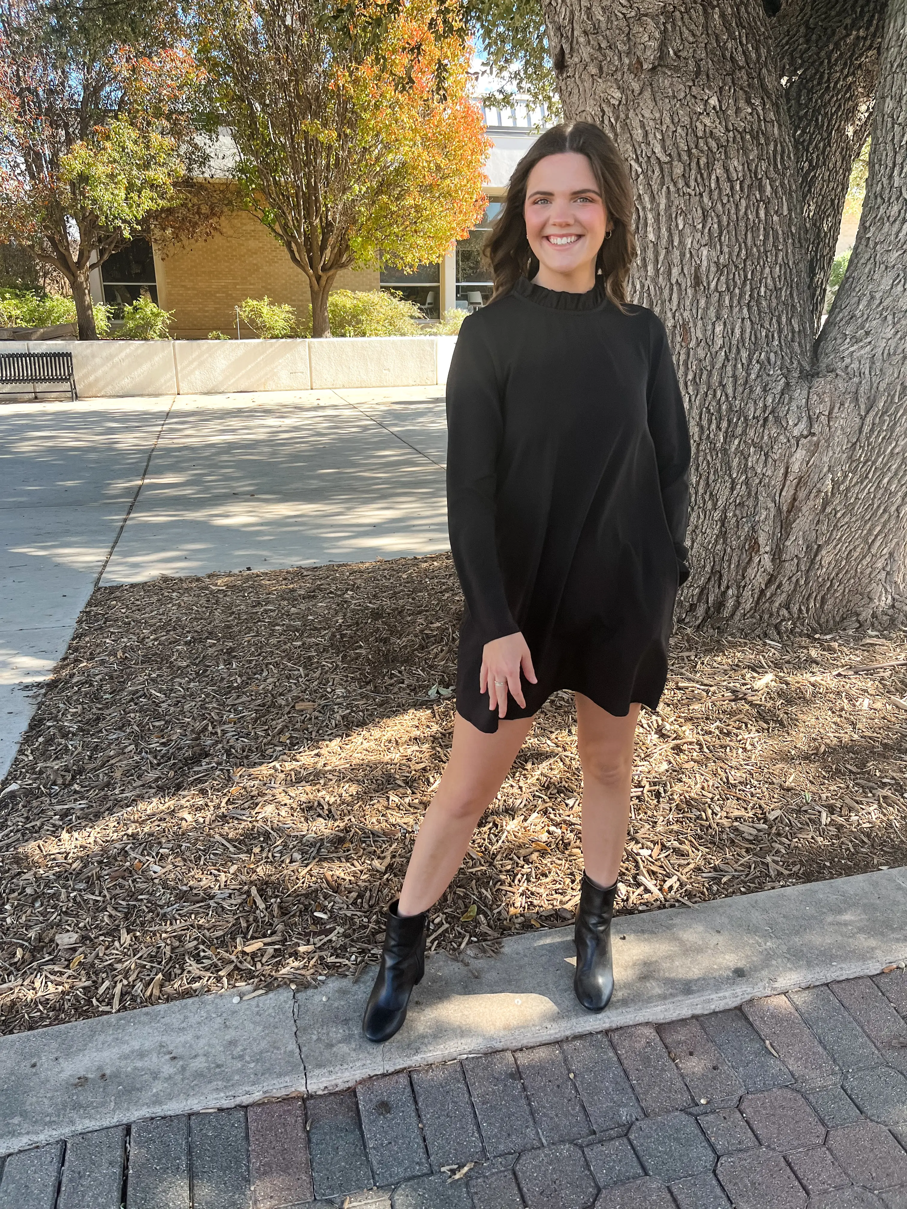 Blaine Ruffle Long Sleeve Mini Dress- Black