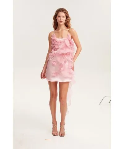 Milla Women's Romantic Ruffled Pink Mini Dress With Rose Appliques